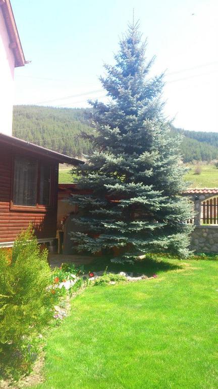 Guest House Diva Reka Beli Iskar Dış mekan fotoğraf